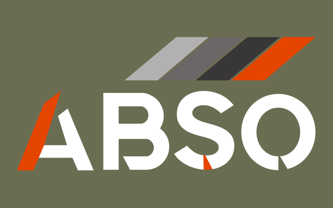 Lancement du site internet ABSO Groupe !